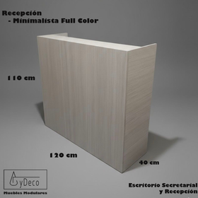 Recepción Minimalista Full Color
