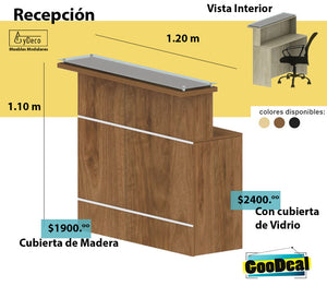Recepción con escritorio Secretarial